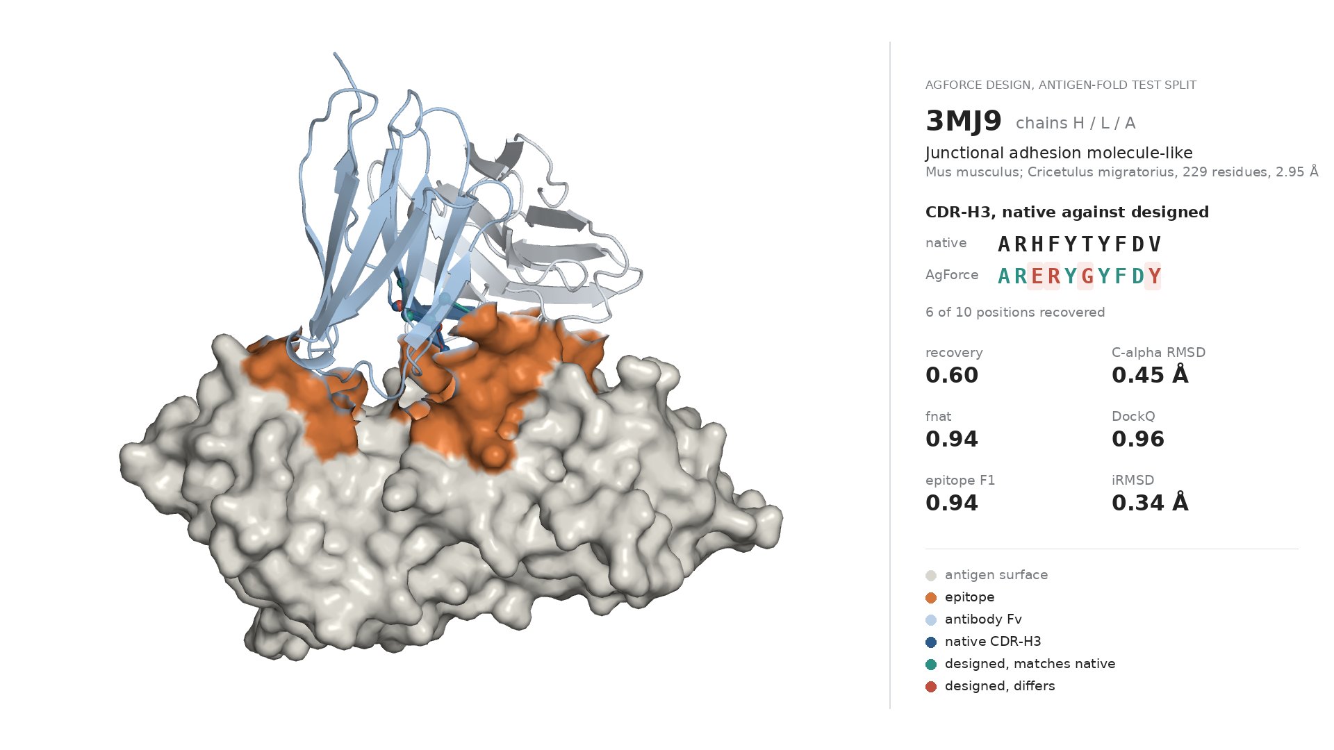 AgForce design of CDR-H3 on PDB 3MJ9