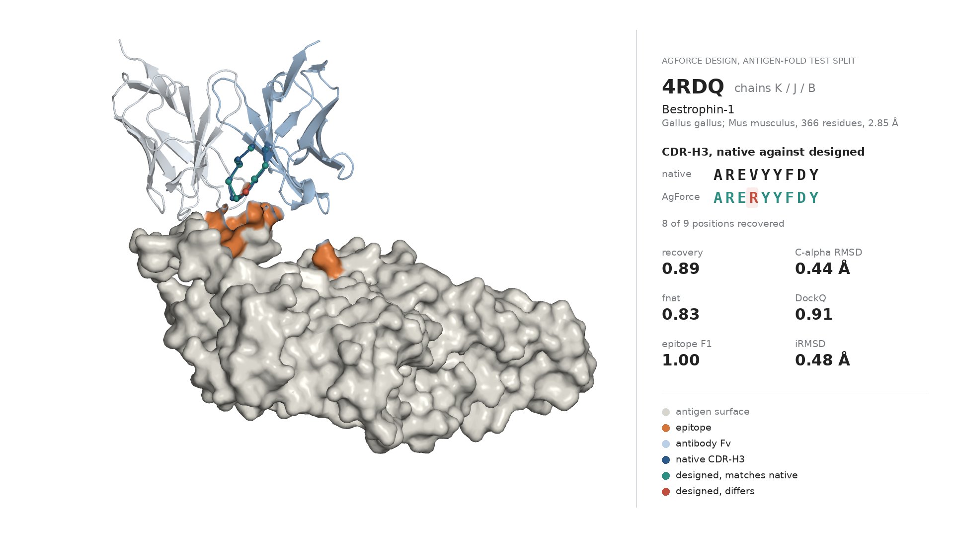 AgForce design of CDR-H3 on PDB 4RDQ