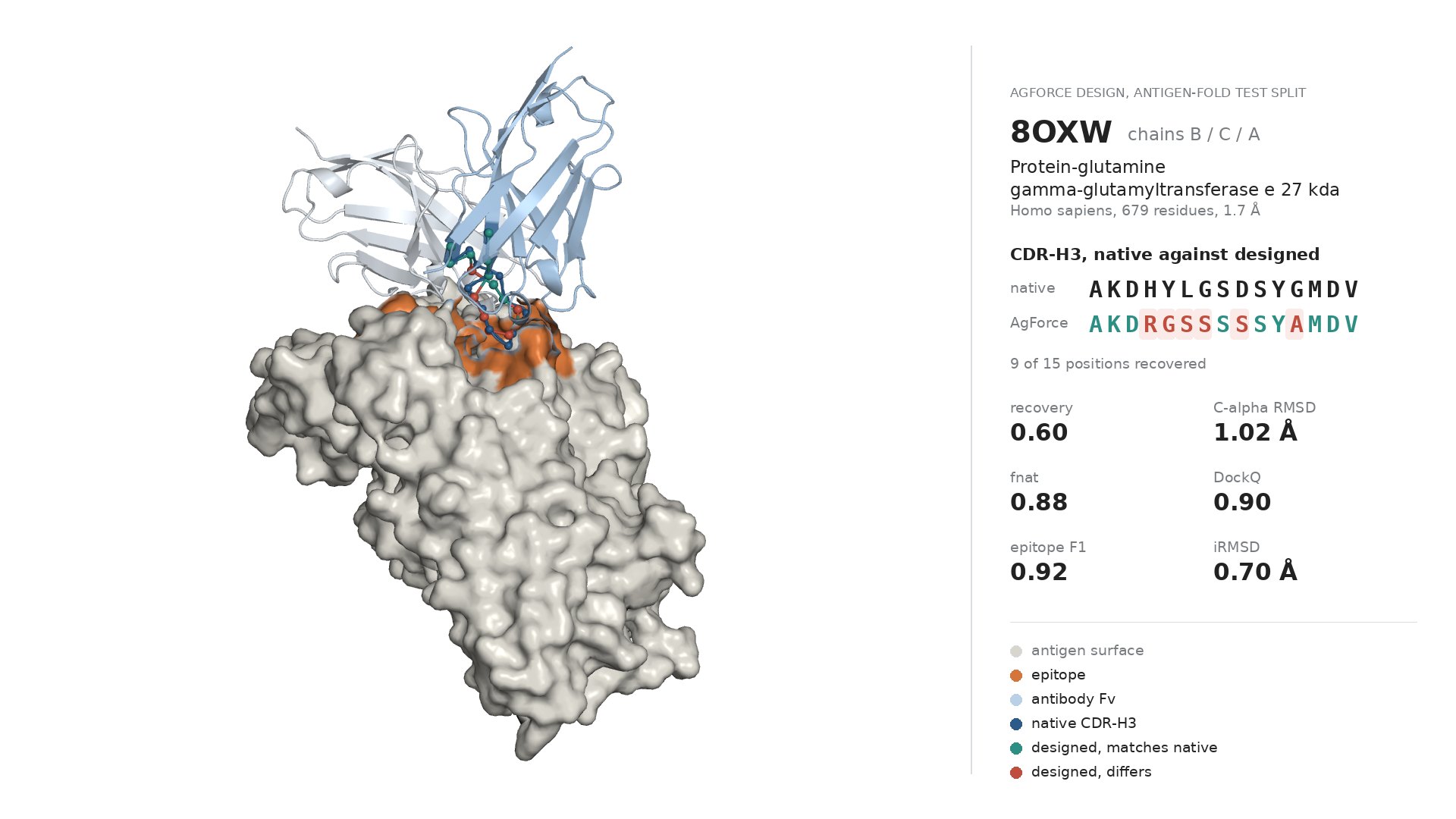 AgForce design of CDR-H3 on PDB 8OXW
