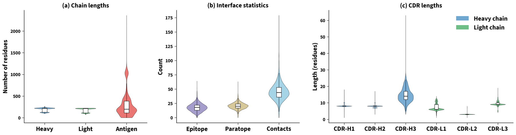 Distributions of chain lengths, interface statistics and CDR lengths across the dataset