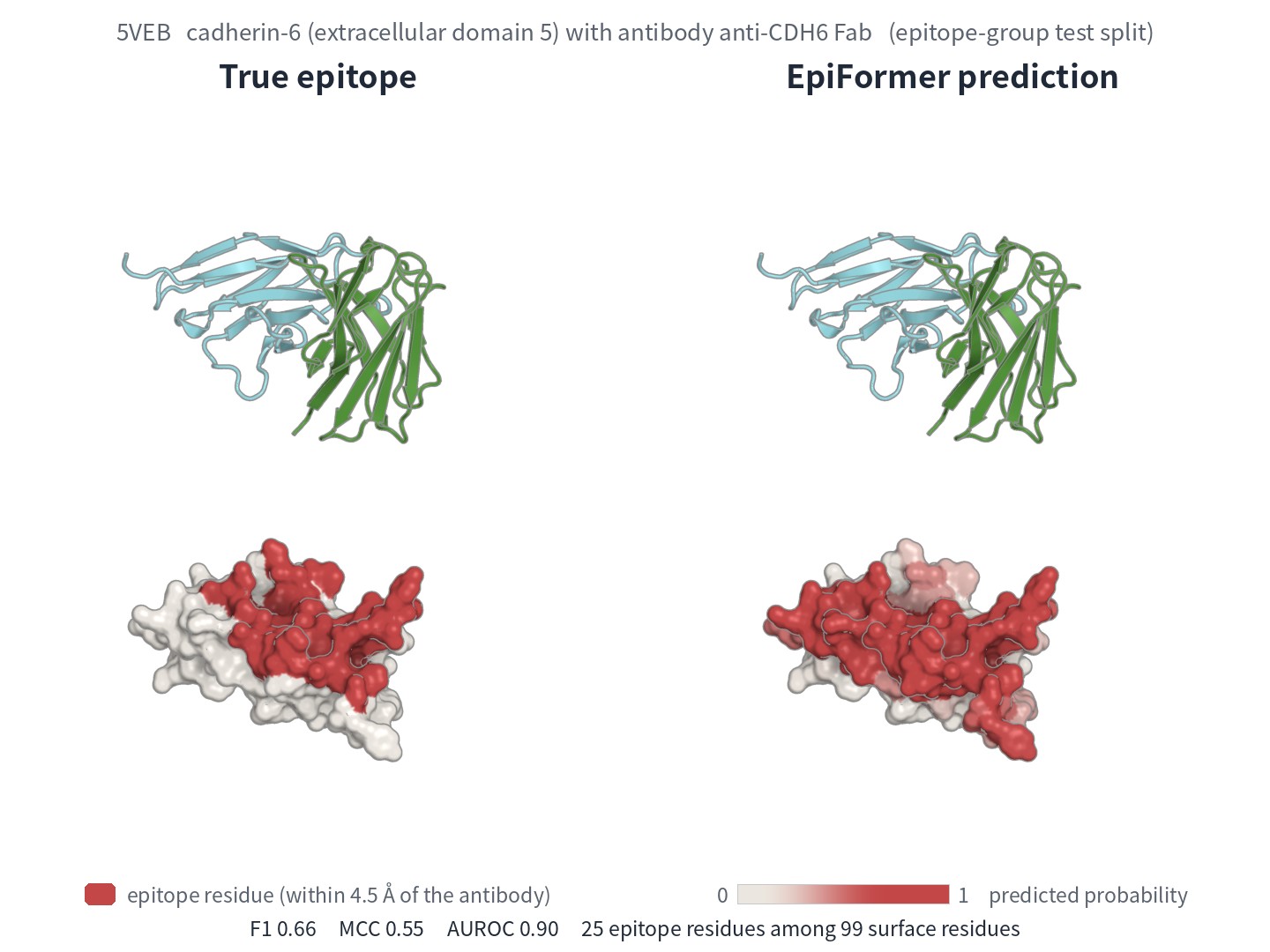 True and predicted epitope of PDB 5VEB