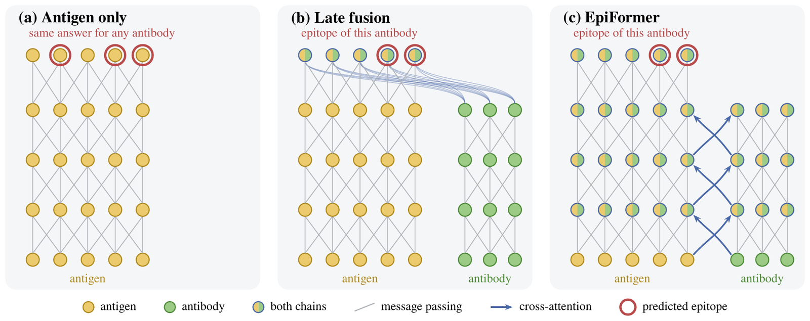 Antigen-only prediction, late fusion and EpiFormer, unrolled over the layers of a graph network