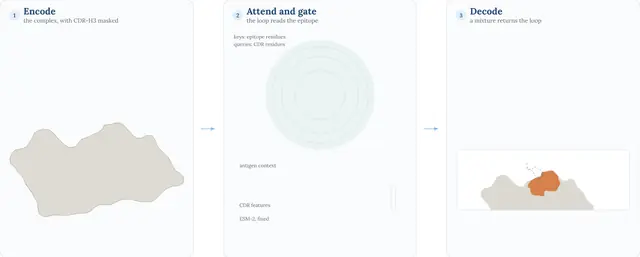 AgForce in three stages: encode the complex, attend and gate, decode with a mixture