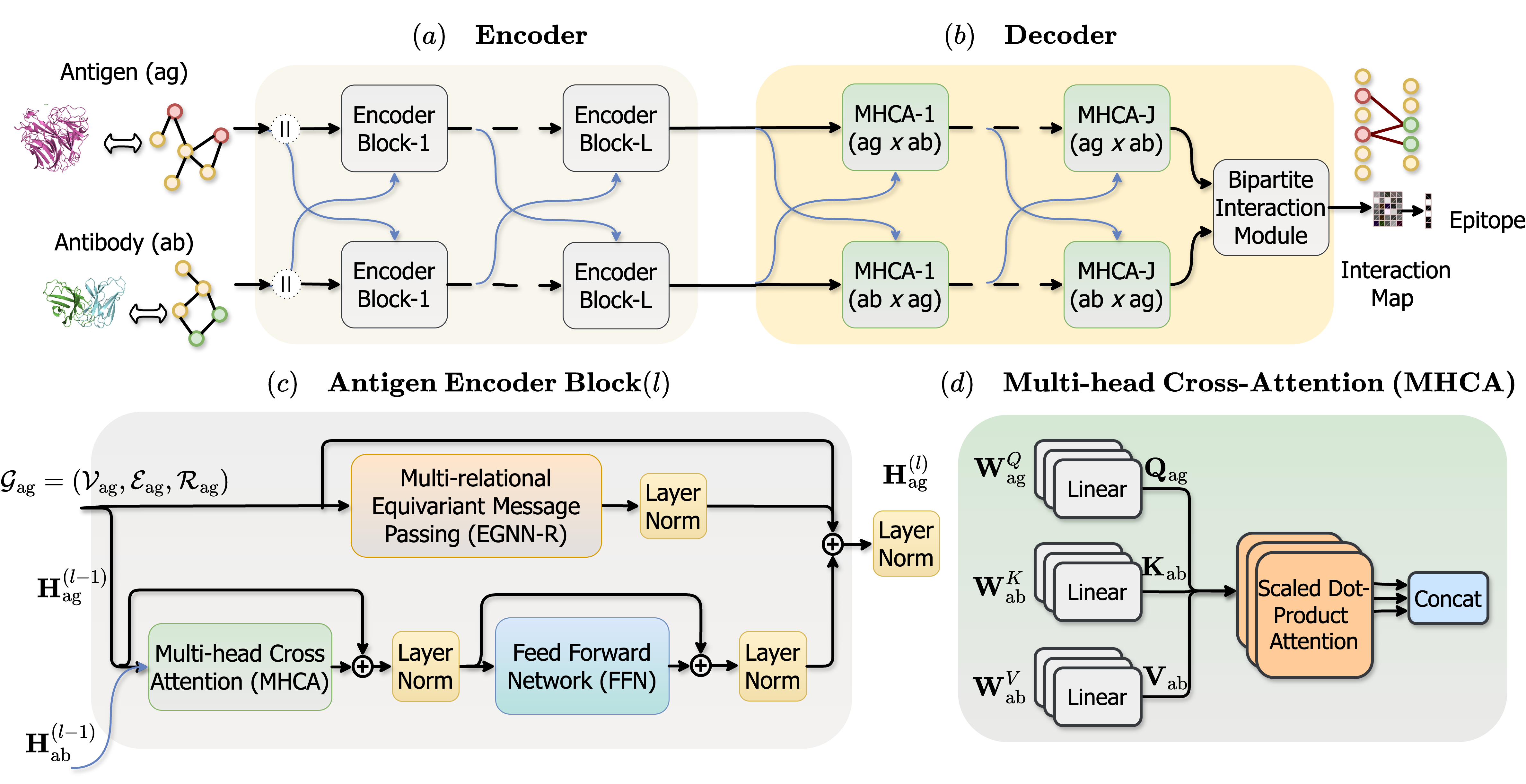 EpiFormer architecture