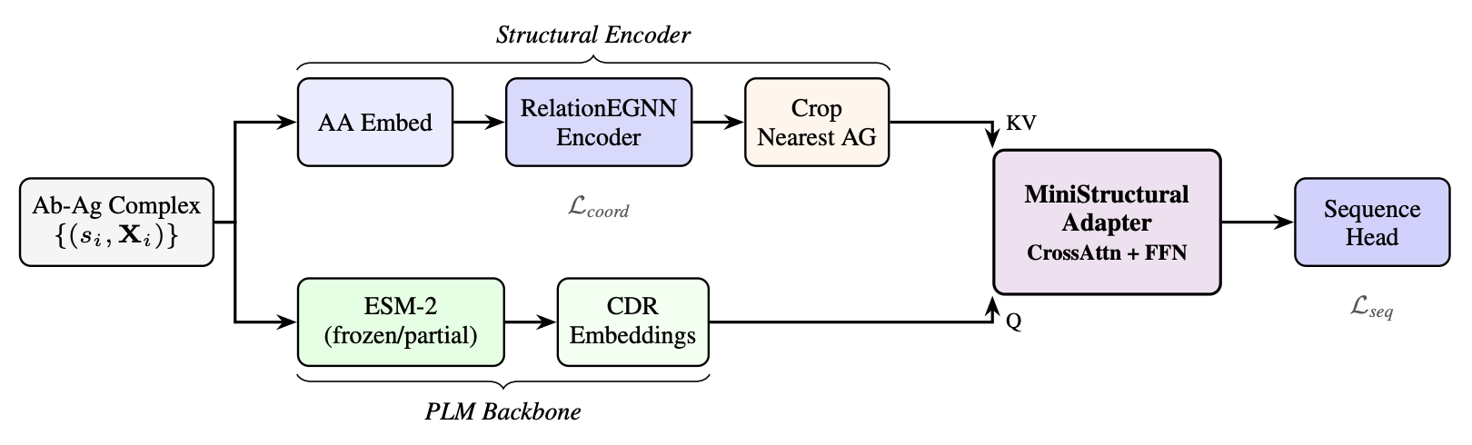 EvoStruct architecture